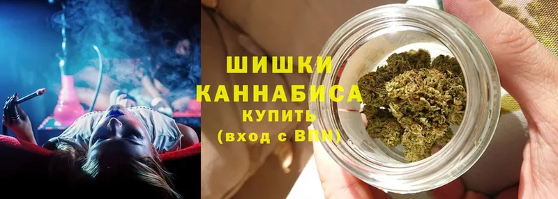 Шишки марихуана Amnesia  Курлово 